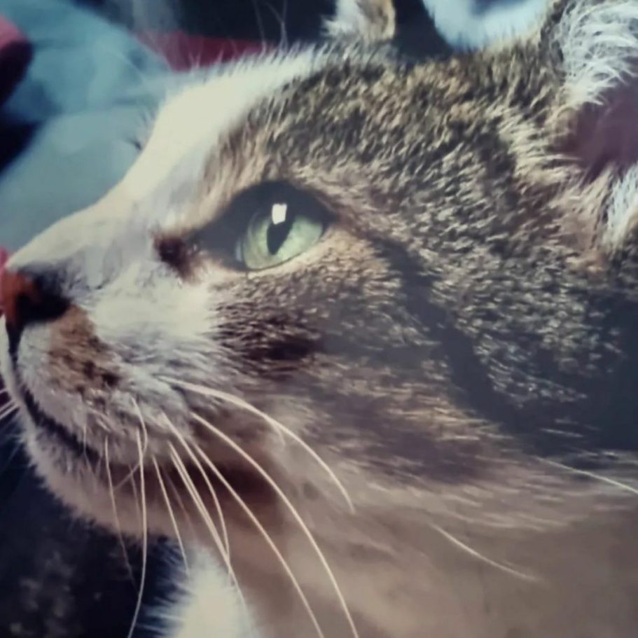Lieve RIK - NOMADS ROUTES